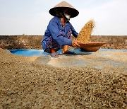 亞서도 곡물난? … ‘쌀 확보 비상’ 필리핀, 베트남과 쌀 공급 협약 추진