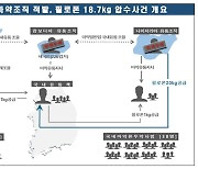 '62만명분 필로폰 밀반입' 해외 3개국 연계 조직 74명 검거