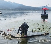 양평군수중환경안전협회, 두물머리서 환경정화 활동