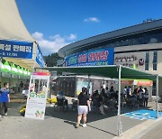 주말 맞아 산삼축제장 인파, 산삼캐기 인기↑