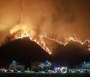 양구군, 가을철 산불피해지 복구사업 본격 추진