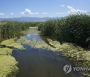 Mosquitoes Health and Climate