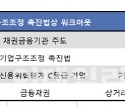 "워크아웃·회생절차 안맞아"…중기 맞춤 구조조정 제도 시급