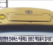 "수학여행에 전세버스 이용해도 당분간 책임묻지 않기로"