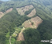 순천시, 산림청 '친환경 목재수확 평가' 우수기관 선정…지자체 유일