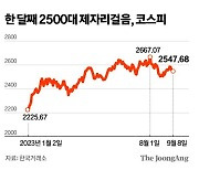 반도체·2차전지 안개 자욱…코스피 한 달째 2500대 게걸음