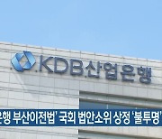 ‘산업은행 부산이전법’ 국회 법안소위 상정 ‘불투명’