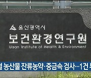 여름철 농산물 잔류농약·중금속 검사…1건 부적합