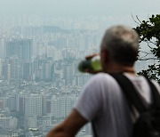 집값 오른다고? 지금은 집사지 마세요…데드캣바운스 국면 [부동산360]