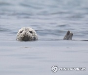 [외래종이 온다] ①인간에 의해 국경을 넘다