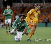 Ireland Netherlands Euro 2024 Soccer