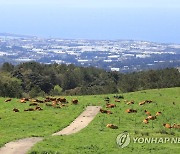 [서귀포소식] '깨끗한 축산농장' 신청 연중 접수