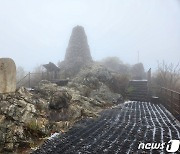 "명백한 허구" 영화 '치악산' 가처분 기각…내일 개봉한다(종합)