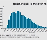 KDI "연립·다세대일수록 전세보증금 미반환 위험 높아"