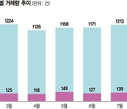 ‘꼬마빌딩’ 부동산 큰손 투자처로… 상업용 빌딩 거래량 견인