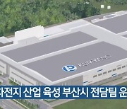 2차전지 산업 육성 부산시 전담팀 운영