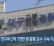 학생 연구비 2억 7천만 원 횡령 교수 구속 기소