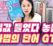 집값 들었다놓는 마법의 단어 GTX [레이디家家]