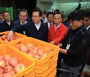 정황근 농식품부 장관, 충북 보은군 산지유통센터 찾아 추석 성수품 수급상황 점검