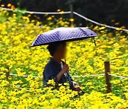 한결 선선해진 바람…본격 가을, 언제부터?