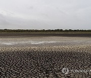 Spain Wetlands