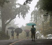 목요일까지 최대 100㎜ '굵은 가을비'…주말까지 강수 계속