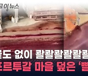 삽시간에 아수라장...거리에 쏟아진 '붉은 정체' [지금이뉴스]