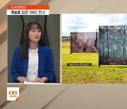 <뉴스브릿지> 예술을 입은 DMZ, 'DMZ 전시: 체크포인트' 개막