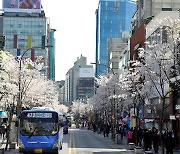 서대문구 “상권 활성화되고 있는 연세로, 차량 통행 막지 말라”