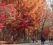 올 첫 단풍 추석에 시작…“기후변화에 앞으로 9월 단풍 못 본다”