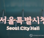 서울시 재산세 4조806억…강남구는 도봉구의 '23배'