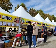 '바가지요금OUT, 놀거리UP' 보은군, 대추축제 준비 만전