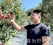 [추석 대목장 점검] ‘홍로’ 생산 큰 폭으로 줄어 강세행진 이어갈듯