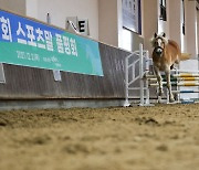 한국마사회, 상주서 스포츠말 품평회와 어린말 승마대회 개최