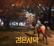 펄어비스 '검은사막', '시즌 서버' 365일 연다