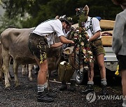 Germany Herdsmen