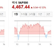 고개숙인 애플, 테슬라·엔비디아는 1%대 상승...뉴욕증시