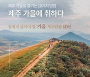 메밀밭·노르딕워킹…가을 제주 관광 10선 ‘폼 미쳤다’