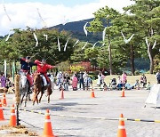 음성 농산물·단양 온달문화·증평 인삼…풍성한 가을 축제