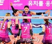 "김연경 중심 삼각편대 공격력 완성한다"…흥국생명, 日 효고현서 전지훈련 실시