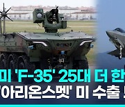 [영상] 'F-35' 25대 더 한국 온다…'아리온스멧' 미 해병대서 성능평가