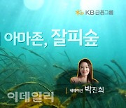 KB금융, ‘바다의 아마존, 잘피숲’ 영상 공개