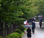 [오늘의 날씨]울산(15일, 금)…가끔 비, 최대 60㎜