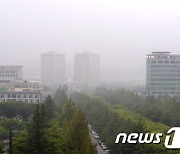 [오늘의 날씨] 대전·충남(15일, 금)…약한 비, 가시거리 짧아