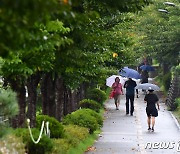 [오늘의 날씨] 대구·경북(15일,금)…내일까지 최대 80㎜, 낮 최고 28도