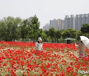 울산 시민 10명 중 6명 "10년 후에도 울산서 살 것"