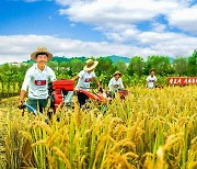 北, 가을 수확 본격화…"전당, 전국, 전민이 떨쳐나서자"