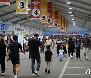 '색에 반하고 맛에 취하다'…장수 한우랑사과랑 축제 개막