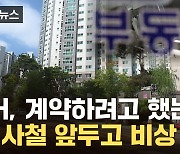 [자막뉴스] "분위기 완전 바뀌었다"...초조해지는 세입자들