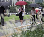 주말까지 전국 대부분 비… 강원 영동 최대 120mm